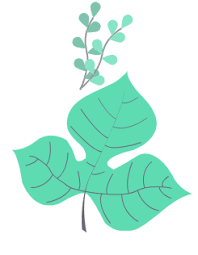 illustration of leaf